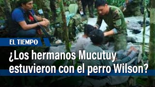 Así sobrevivieron los Hermanos Mucutuy y revelaron si estuvieron con el perro Wilson | El Tiempo