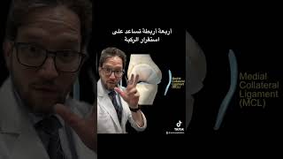 ٤ أربطة تساعد على استقرار الركبة ..د.عاصم مخدوم