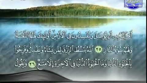 محمد عبد الوهاب الطنطاوى ما تيسر من سورة الرعد