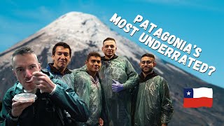 Chile's European City - Hiking and Eating the Freshest Seafood in PUERTO VARAS!