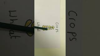 Help Me Do My Sst Project Reedam And Atharva