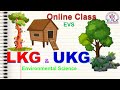 LKG UKG Online Class | Environmental Science | EVS | Lesson about Birds | പക്ഷികൾ