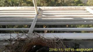 20161110T1530~1600