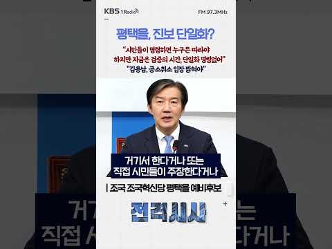 평택을, 진보 단일화? "시민들이 명령하면 누구든 따라야 하지만 지금은 검증의 시간, 단일화 명령없어...김용남, 공소취소 입장 밝혀야” #전격시사 #조국