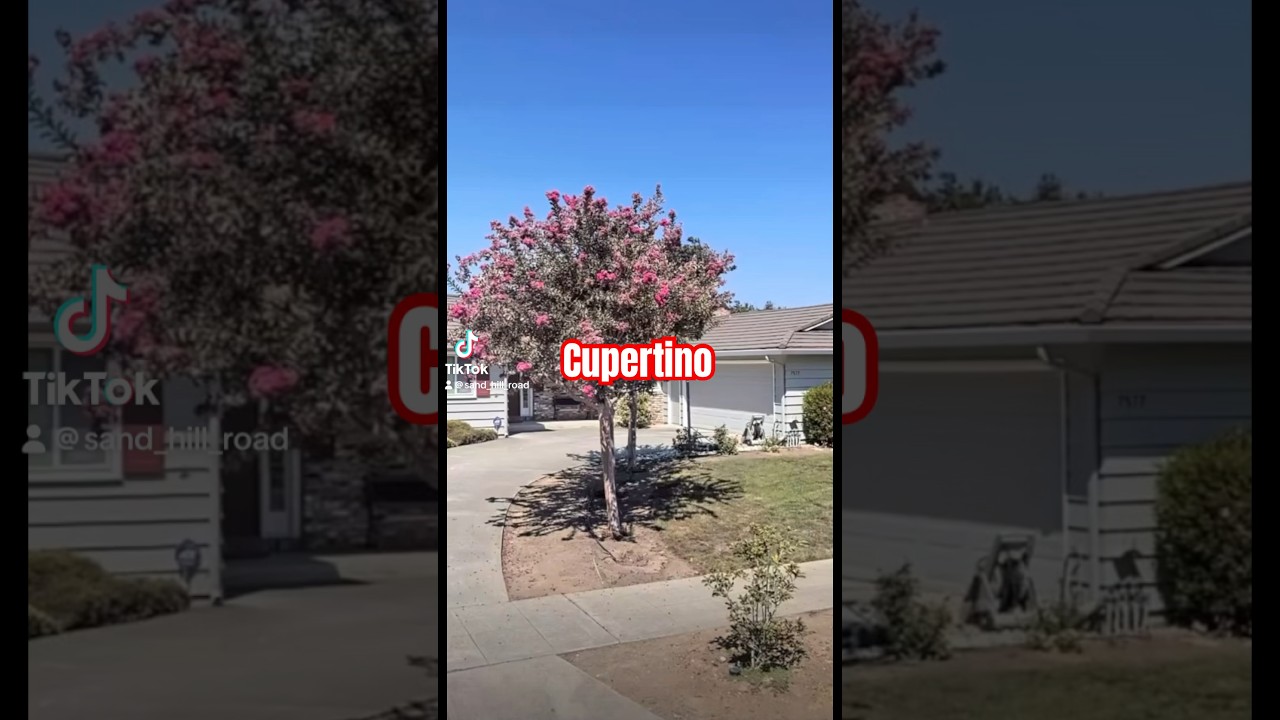 Living in Silicon Valley: 1997 