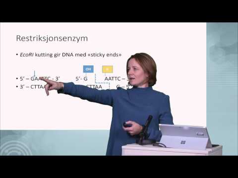 Video: Hva er forskjellige typer restriksjonsenzymer?