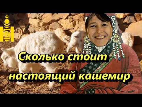 Сколько стоит? Кашемир в Монголии! How much is cashmere?