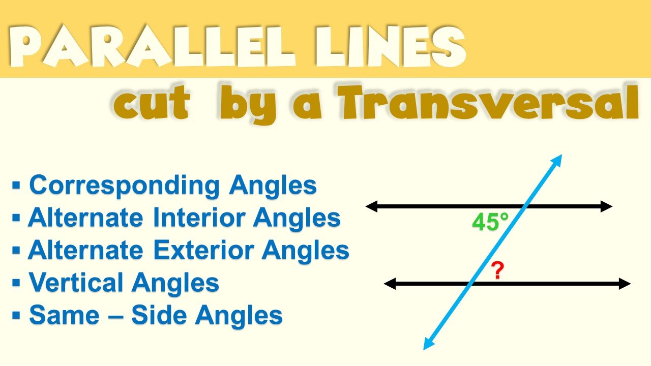 Properties of Parallel Lines Cut by a TRANSVERSAL | Ms Rosette - YouTube