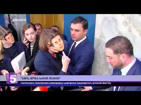 ხმაური პარლამენტის იურიდიულ საკითხთა კომიტეტის სხდომაზე