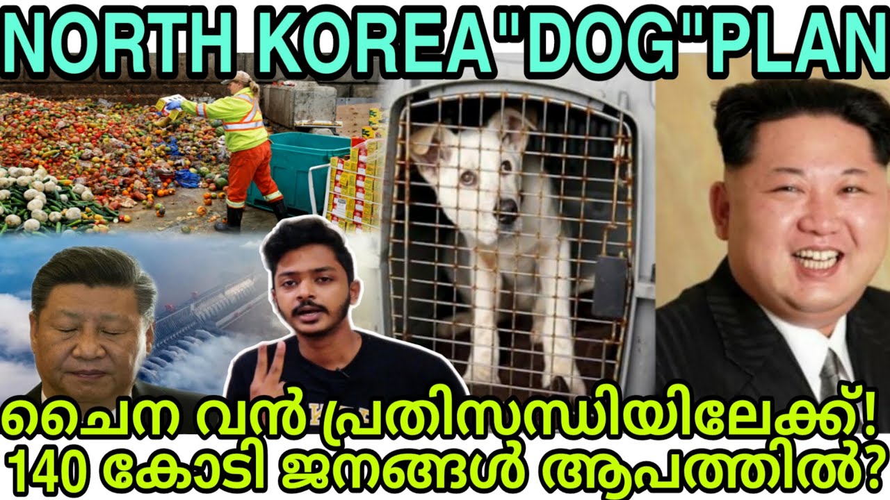 NORTH KOREA DOG PLANചൈനയിലെ 140 കോടി ജനങ്ങൾ ദുരന്തത്തിലേക്ക്? BIGGEST