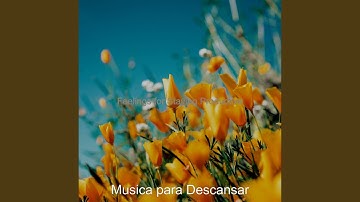 Pulsating Ambience for Focusing