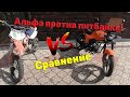 Альфа против питбайка! Сравнение альфы и пит байка, что лучше?