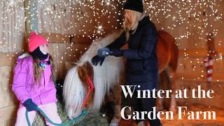 Winter, Snowy Chores w/Christmas Lights at The Lawrence Garden Farm