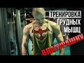 День груди - тренировка грудных мышц