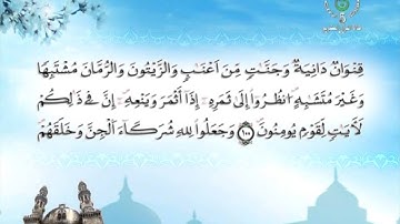 ماتيسر من سورة الأنعام بصوت القاريء الابراهيمي