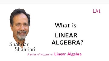LA1 What is Linear Algebra?