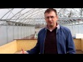 Строительство креветочной фермы в Украине