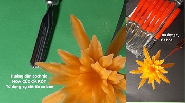 Cách tỉa hoa cúc cà rốt từ dụng cụ tỉa hoa dễ nhất ai cũng có thể làm được