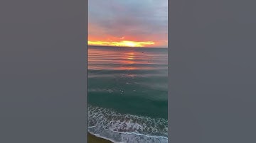 تلاوة جميلة - (وَفِي السَّمَاءِ رِزْقُكُمْ وَمَا تُوعَدُونَ) - قرآن حالات واتس اب 🤍