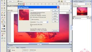 5_03 Bitmap Properties