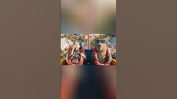 Capybara và Bà Tám Đi Tàu Lượn Siêu Tốc Độ #Capybara