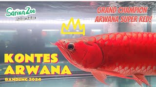 Kontes Ikan Arwana CIA ft RDI Exhibition Bandung 2024 : INI DIA ARWANA SUPER RED GRAND CHAMPION!