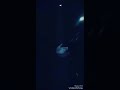 احلا سيران عتابا مع شروك