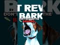 Does Your DOG Really Talk To You Through Barking?