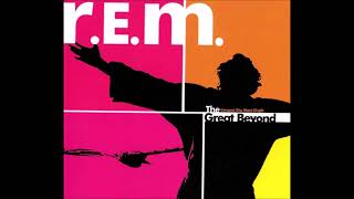 R.E.M. - "The One I Love (Live - 06-25-1999 - Somerset, England)"