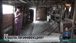 У сельчан забирают скот на санитарный убой в селе Аралагаш