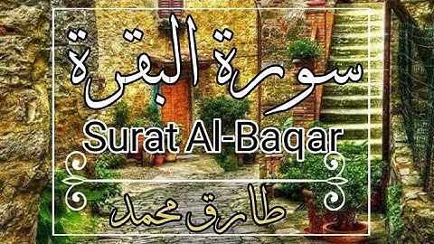 سورة البقرة كاملة بصوت جميل جدا للقارئ طارق محمد طاردة الشياطين(بدون اعلانات)  Surat Al-Baqar