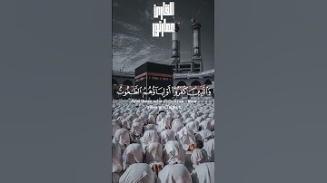 الله ولي الذين آمنوا يخرجهم من الظلمات إلى النور❤️ترتيل خاشع من سوره البقرة #سوره_البقره #قران#لايك