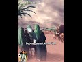 Kisah Rosulullah SAW Berziarah Kemakam Ibunya Siti Aminah #islam #fyp #religion semoga bermanfaat
