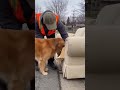 so crazy #viral #trending #short