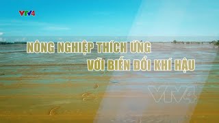 Nông nghiệp thích ứng với biến đổi khí hậu | VTV4