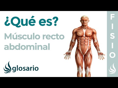 Vídeo: Origen, Función Y Anatomía Del Músculo Recto Abdominal - Mapas Corporales