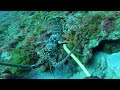 Honey Hole Lobster Bugs Jupiter Florida Ripping Current 