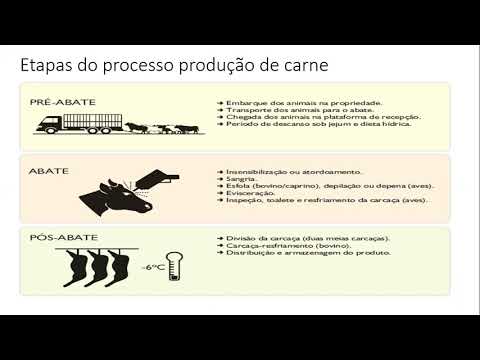 Vídeo: Processamento De Carnes E Risco Cardiovascular: Hora De Focar Em Conservantes