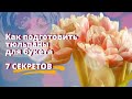 Секреты бутонов и стебля тюльпанов. Как сохранить тюльпаны для букета. Обработка и хранение цветов