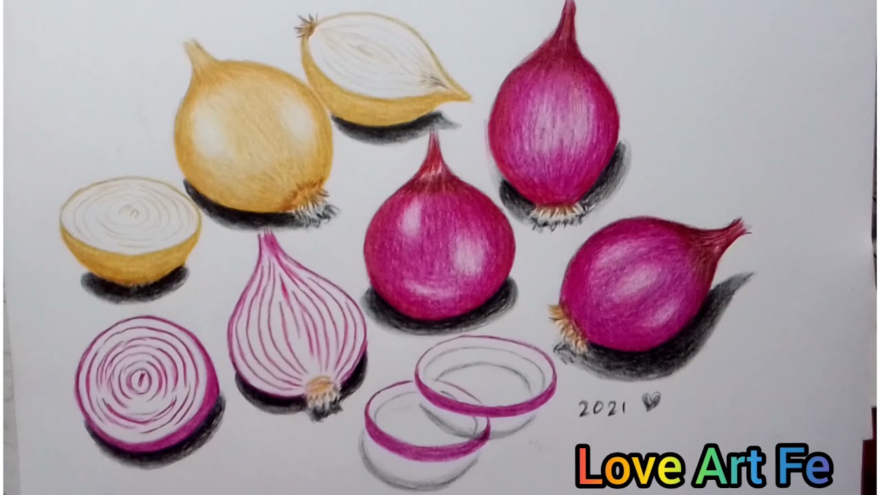 Realistic onion 🧅 | Fruit art drawings, Colored pencil artwork ideas, Onion  drawing