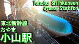 東北新幹線　小山駅に登ってみた Oyama Station. Tohoku Shinkansen