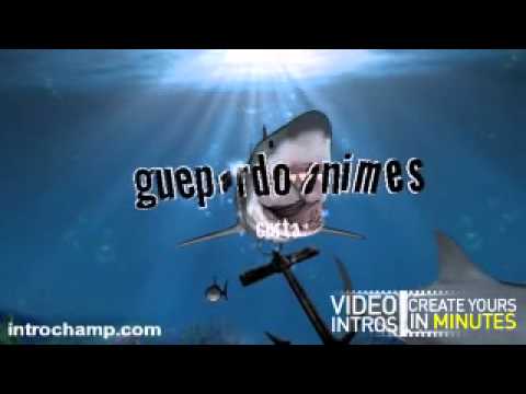 intro - YouTube
