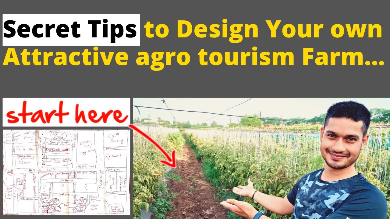 agro and eco tourism business ideas