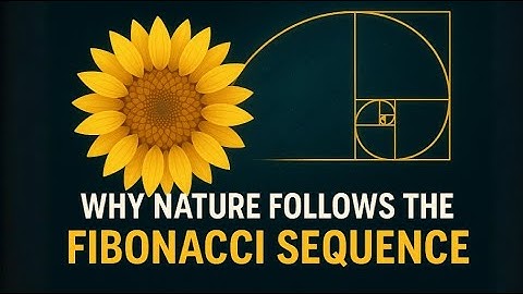 Why Nature Follows the Fibonacci Sequence 🌿 | Math in the Real World