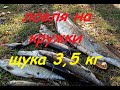 Ловля на кружки. Щука на 3,5 кг.