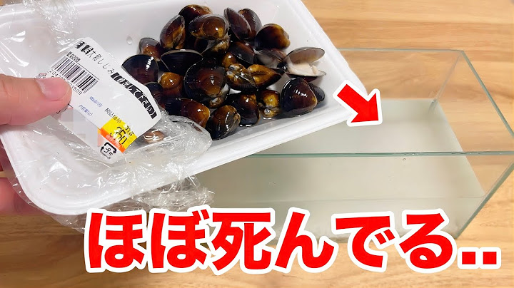 Something terrible happened when I put some rotting clams from the fresh fish supermarket into my...