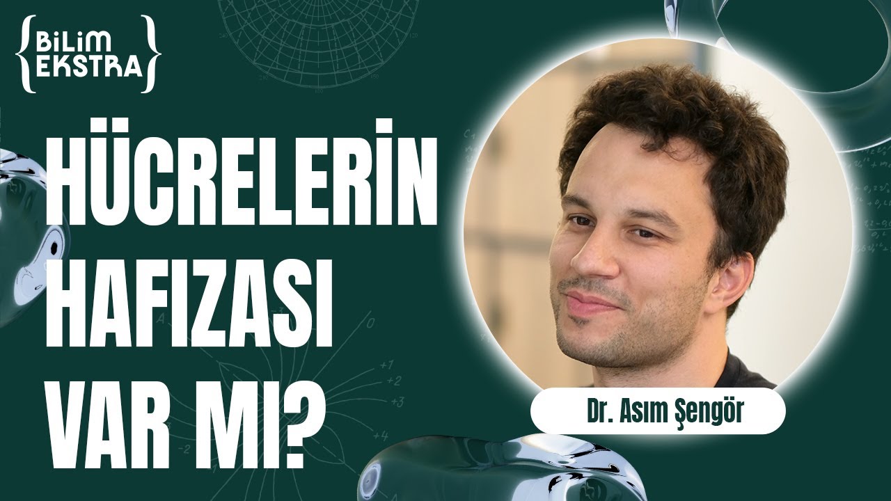 İnsan hafızası silinebilir mi?