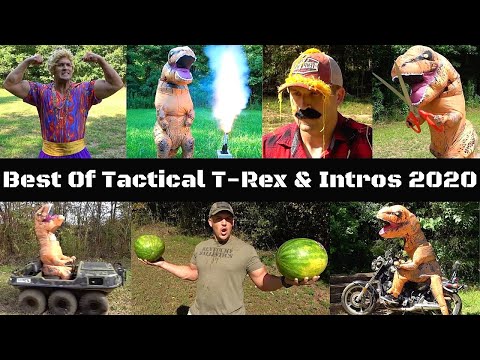 BEST OF TACTICAL T-REX & INTROS 2020 🦖