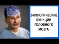 Просветление | Куда деть семью, детей и социум? [Саламат Сарсекенов]