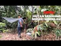 Wild camping hutan senaling kuala pilah n9